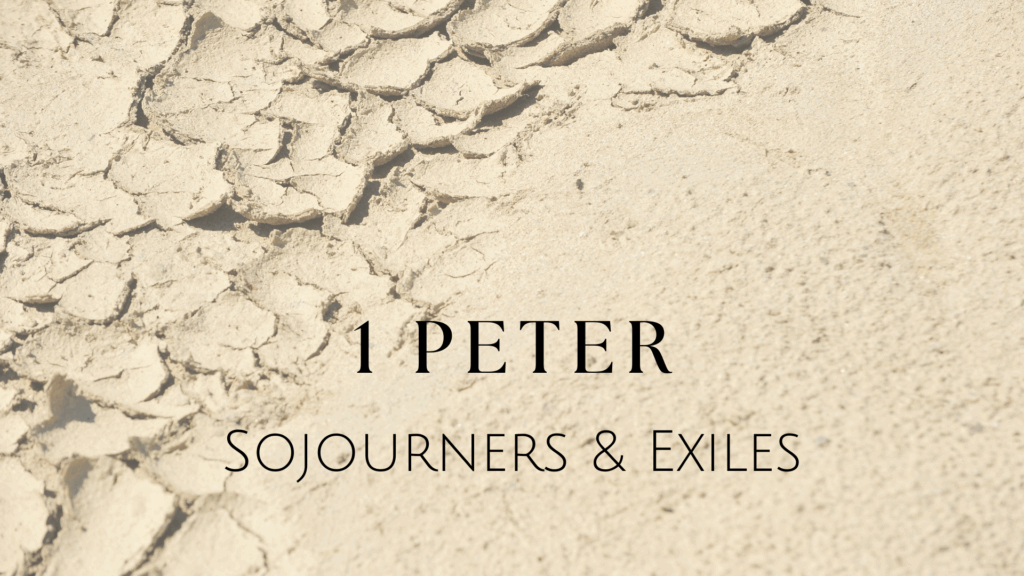 1 Peter Series-2